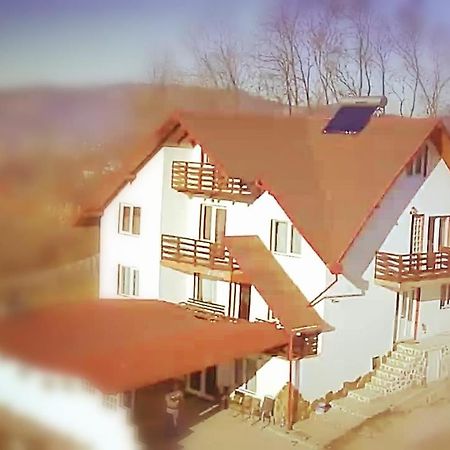La Curtea Argeseana Διαμέρισμα Valea Iasului Εξωτερικό φωτογραφία