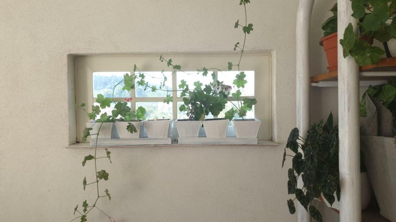 La Curtea Argeseana Διαμέρισμα Valea Iasului Εξωτερικό φωτογραφία
